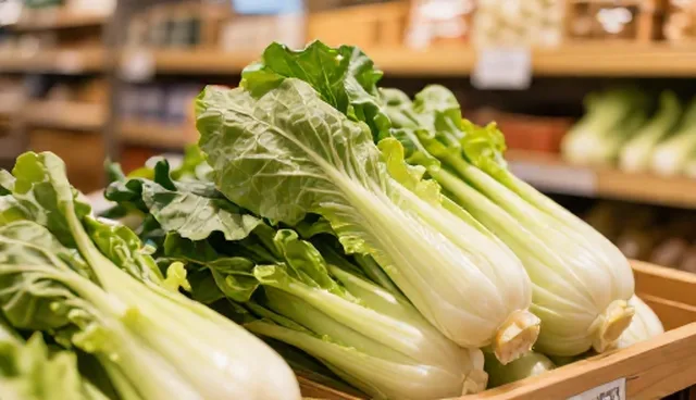 冷链配送中即食鲜菜的速冻工艺对比与取舍